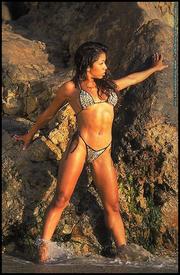 xxxpamella anderson videos gallries nude pictures of fitness models